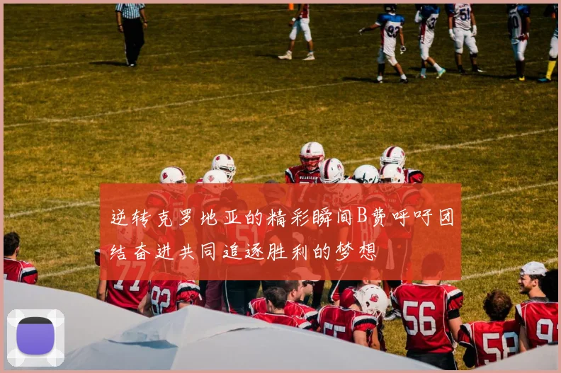 逆转克罗地亚的精彩瞬间B费呼吁团结奋进共同追逐胜利的梦想